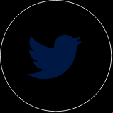Ícone Twitter