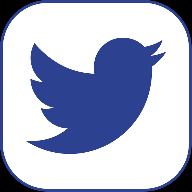 Ícone Twitter